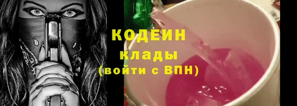ECSTASY Бородино