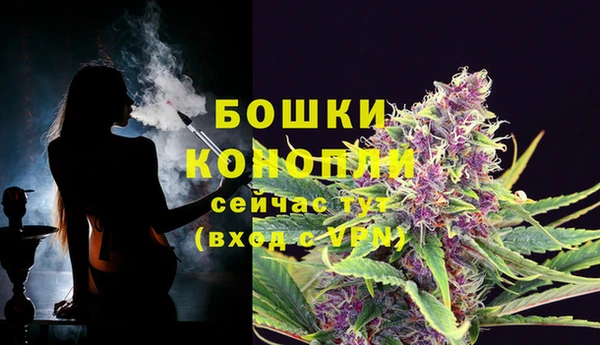 шишки Семикаракорск