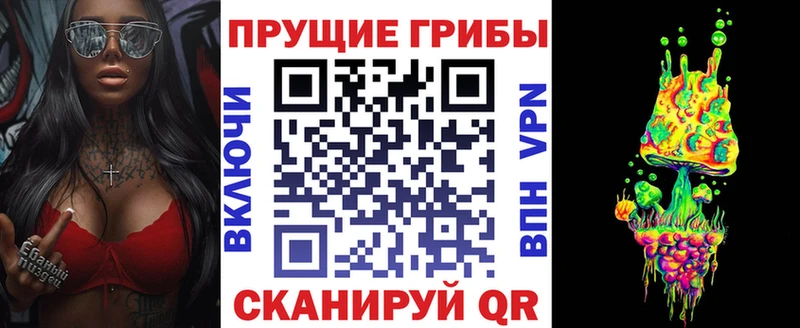 Псилоцибиновые грибы GOLDEN TEACHER Кизел