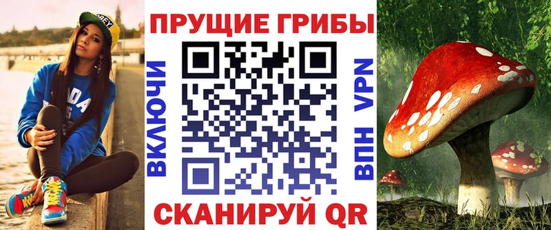 Псилоцибиновые грибы Psilocybe  Кизел 